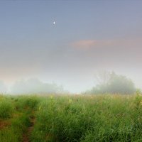 Дорога в тумане :: Валерий Талашов