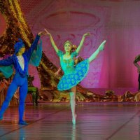 Сцена из балета "Спящая красавица" :: Владимир Максимов