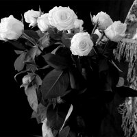 Белые розы. :: Валерия  Полещикова 