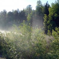 Туман танцует вальс "Бостон", купаясь в солнечных лучах :: Наталья Пендюк Пендюк