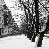 Первый снег :: Василий Зернов