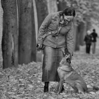 Прижмите к сердцу рыжую собаку :: Валентина Ломакина
