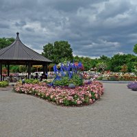 В Ботаническом саду Аугсбурга время цветения роз!!! :: Galina Dzubina