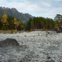 Катунский берег :: Виктор Четошников