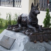 Памятник Фронтовой собаке :: Сергей Михальченко