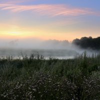 Под дымкою тумана безгласная река. :: Павлова Татьяна Павлова