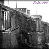 Дождь :: zizakvv 