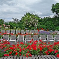 В Ботаническом саду Аугсбурга время цветения роз!!! :: Galina Dzubina