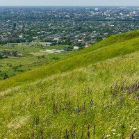 Окрестности моего города :: Игорь Сикорский