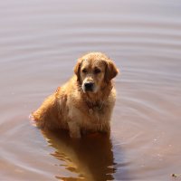 Люблю я воду.... :: Наталья 