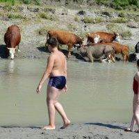 от жары спасает вода :: Tatiana Lesnykh Лесных