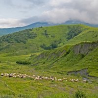 Северная Осетия. :: ФотоЛюбка *
