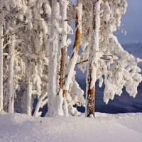 Зимнее :: Галина Подлопушная