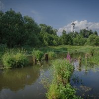 Сельская жизнь :: Елена Решетникова