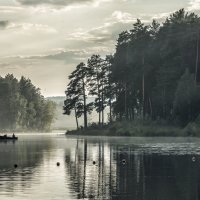 Evening fog on the lake :: Dmitry Ozersky