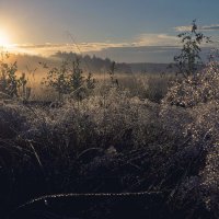 Рассвет и туман. :: Ирэна Мазакина