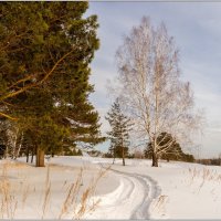 Нам всегда чего то не хватает, зимою лета.... :: Владимир 