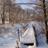 Зимний пейзаж с мостиком. :: Александр Селезнев