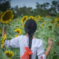 summer...)) :: Pavel Svyatodukh