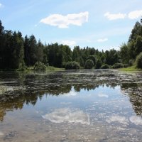 Лето :: Владимир Холодницкий