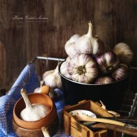 Garlic :: Katie Voskresenskaia