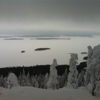 Январь :: Марина Домосилецкая