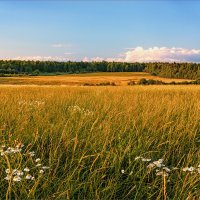 Родные просторы... :: Александр Никитинский