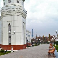 Мечеть в Ташкенте :: Ольга Вафина
