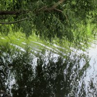 Река Темерник в парке Октября :: Нина Бутко