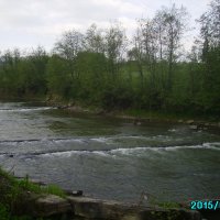 Горная   река  в   Ворохте :: Андрей  Васильевич Коляскин