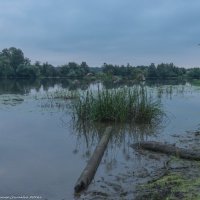 На реке Дубне. :: Виктор Евстратов
