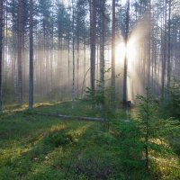 Место, где свет... :: Валерия заноска