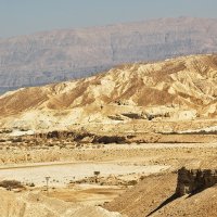 Мертвое море :: Пила Дотошная