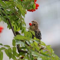 Вид из окна. :: Анатолий Мартынов