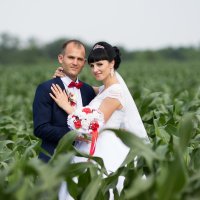 молдавская свадьба :: Юрий Удвуд