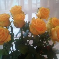 Желтые розы :: марина ковшова 