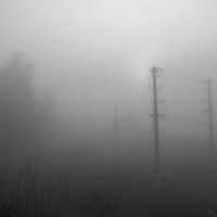 Железнодорожный туман :: Александр С.