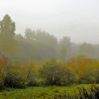 Туман в балке :: Сергей Чиняев 
