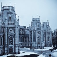 Царицынский дворец :: Владимир Брагилевский