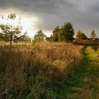 Осенняя дорога в заброшенную деревню... :: Елена Байдакова