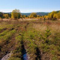 Дорожка в осень :: Анатолий Иргл