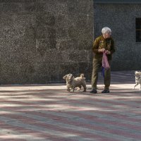 трое :: Сергей Волков