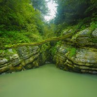 Хашупсинский каньон, Абхазия :: Кирилл Малов