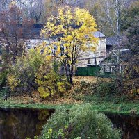 Осень золотая :: Александр Горбунов