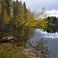 Осенний день. :: Наталья 