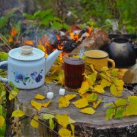 Чай у осеннего костра :: Сергей Чиняев 