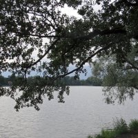 На озере :: Вера Щукина