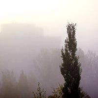 Питерский туман :: Дмитрий Редьков