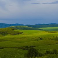 *** :: Сергей Жуков