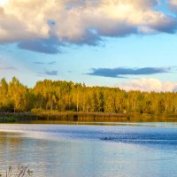Лесное озеро. :: Владимир Лазарев